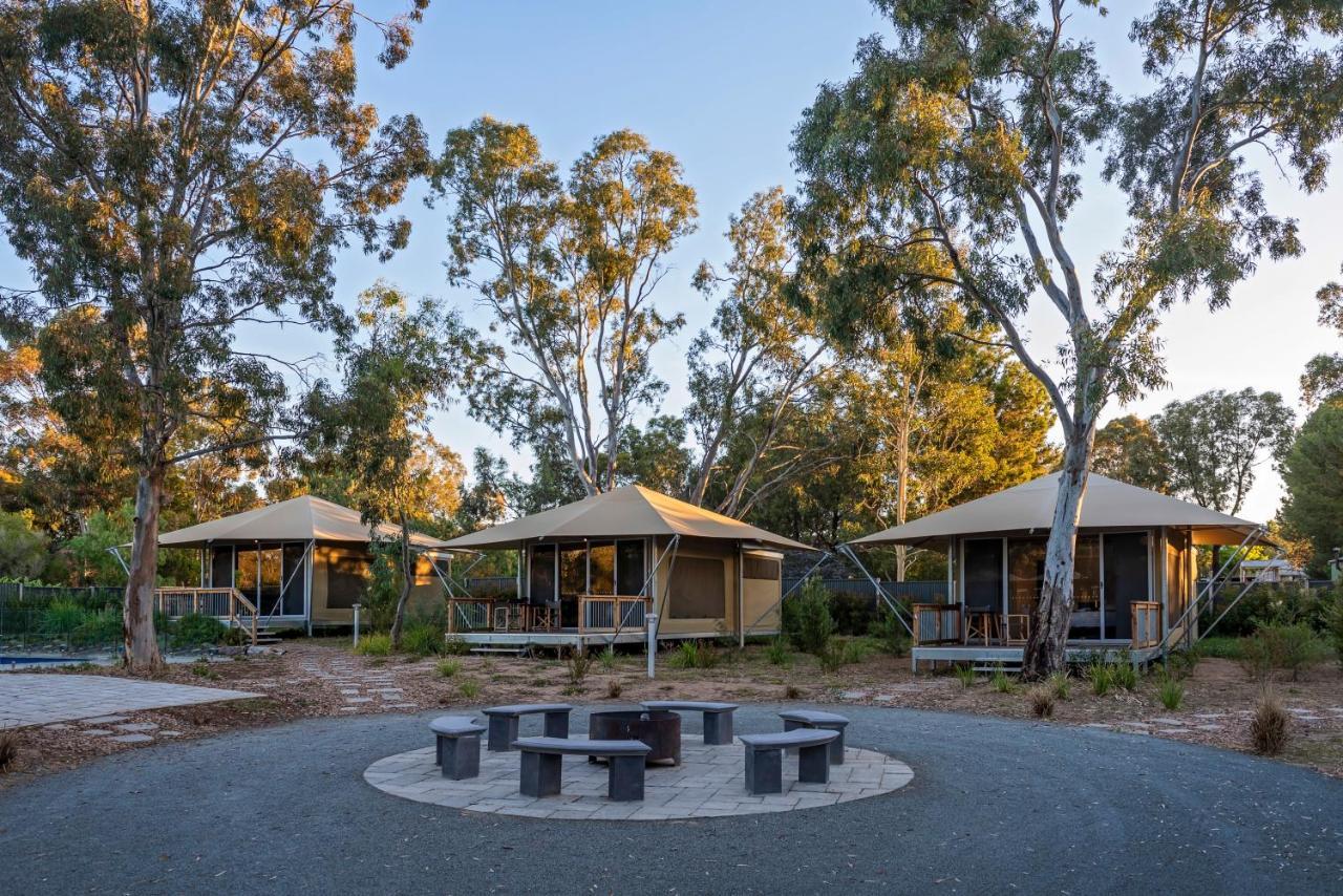 Discovery Parks - Barossa Valley ทานันดา ภายนอก รูปภาพ